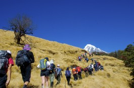 Mardi Himal Trek - Annapurna region
